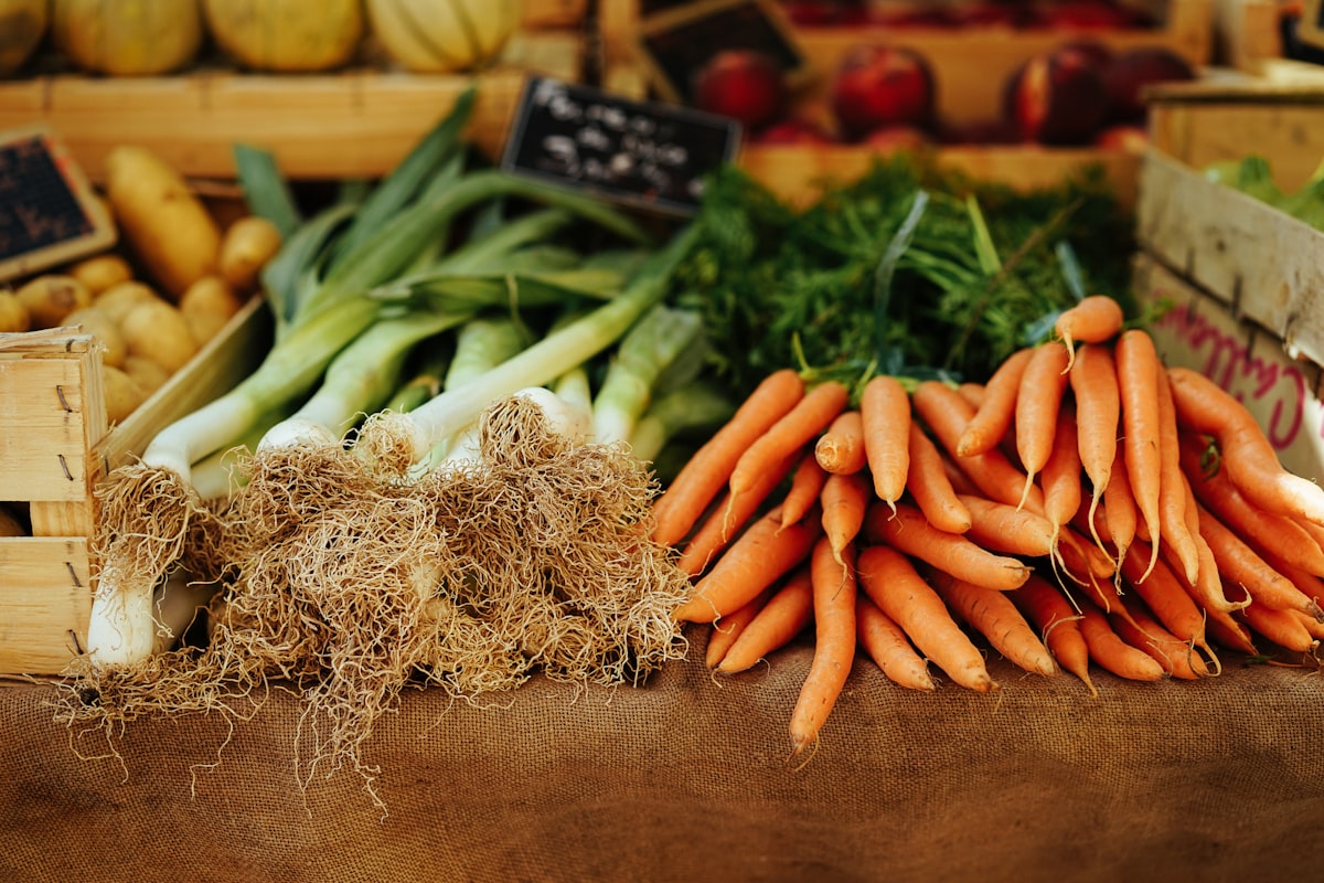 Wellness and preventive nutrition